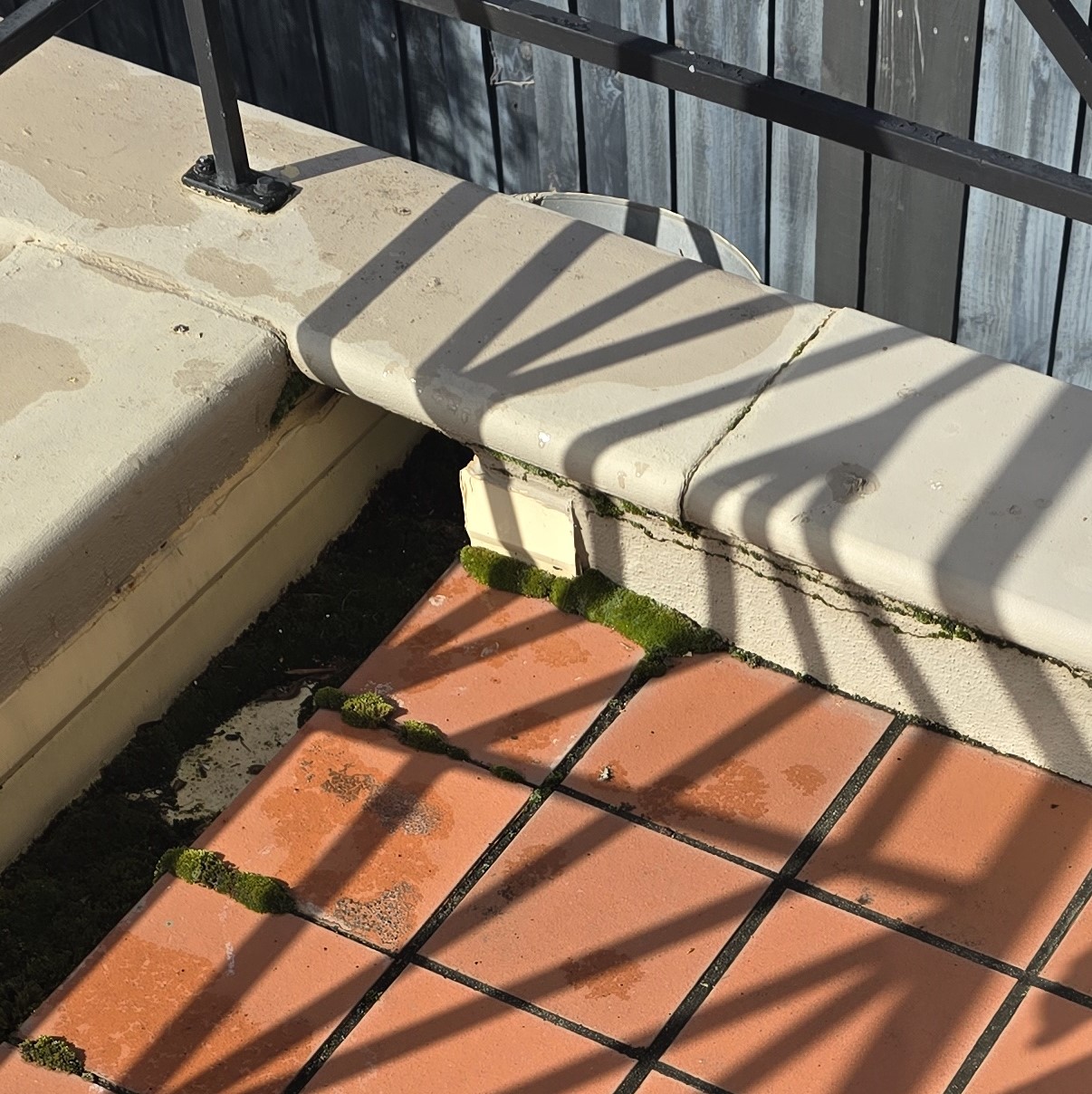 Balcony water ingress with moss and staining on tiled surface